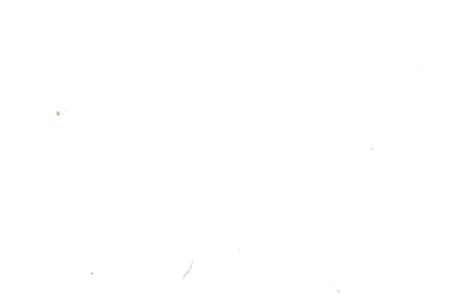Image 51